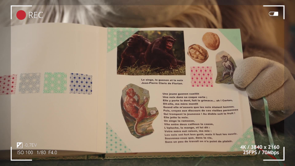 Yétili Le singe, la guenon et la noix